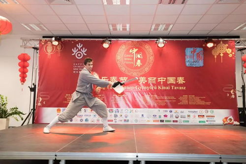 中國年文化在匈牙利綻放奇花, 歡樂春節(jié) 美麗中國春 活動(dòng)現(xiàn)場(chǎng)人潮涌動(dòng) 精彩視頻集錦 高清圖組